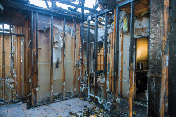 Professional Fire Damage Removal technician working in Forsgate, NJ